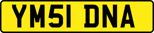 YM51DNA