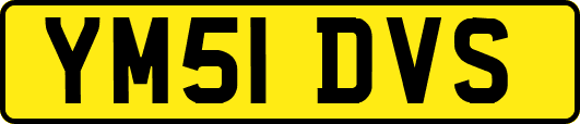 YM51DVS