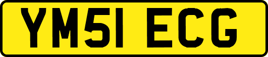 YM51ECG