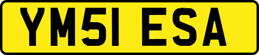 YM51ESA