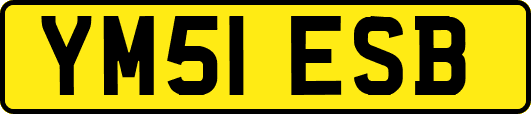 YM51ESB