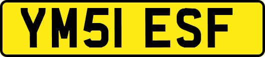 YM51ESF