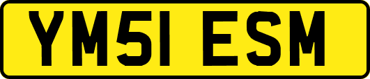 YM51ESM