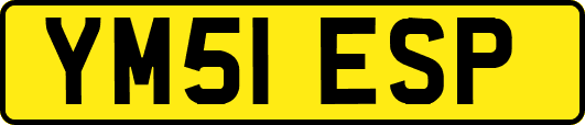 YM51ESP