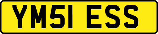 YM51ESS