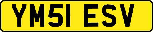 YM51ESV