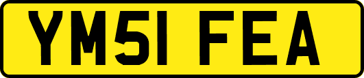 YM51FEA