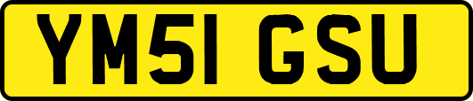 YM51GSU