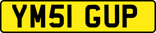 YM51GUP