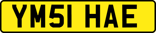 YM51HAE