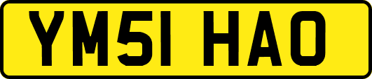 YM51HAO