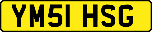 YM51HSG