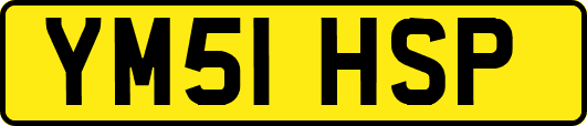YM51HSP
