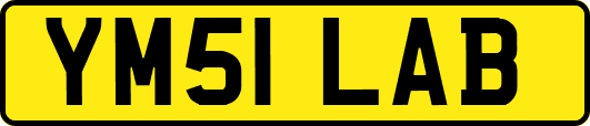 YM51LAB