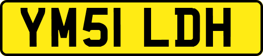 YM51LDH
