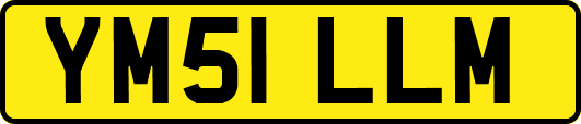 YM51LLM