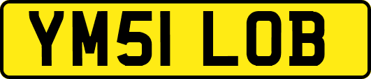YM51LOB