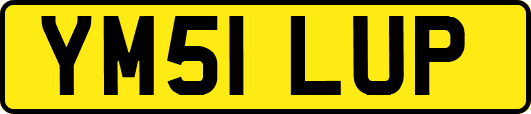 YM51LUP