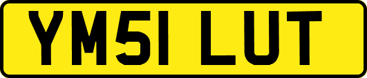 YM51LUT