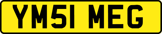 YM51MEG