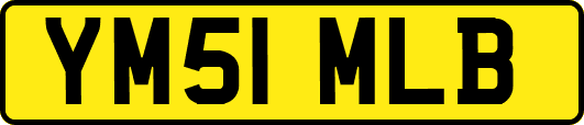 YM51MLB