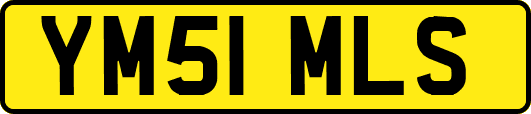 YM51MLS