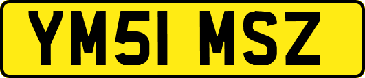 YM51MSZ
