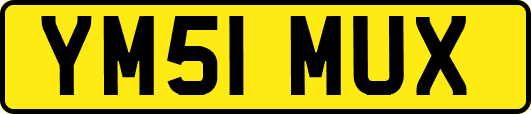 YM51MUX