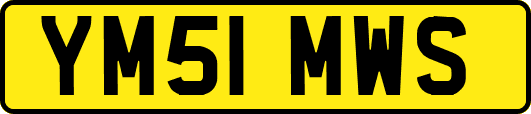 YM51MWS