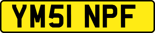 YM51NPF