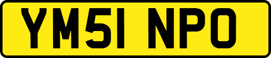 YM51NPO