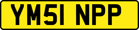 YM51NPP