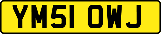 YM51OWJ