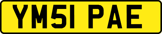 YM51PAE