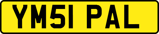 YM51PAL