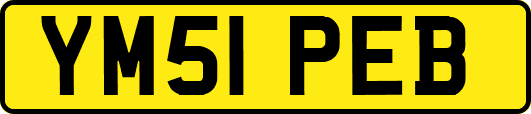 YM51PEB