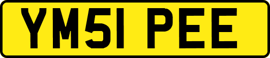 YM51PEE