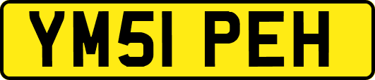YM51PEH