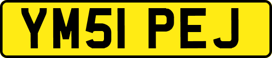 YM51PEJ