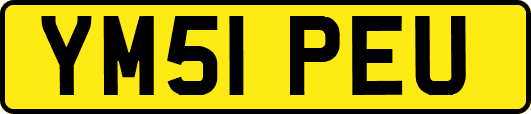 YM51PEU