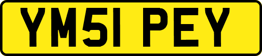 YM51PEY