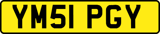 YM51PGY
