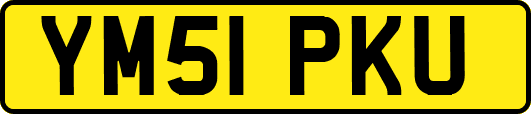 YM51PKU