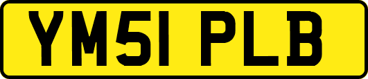 YM51PLB