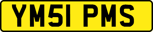 YM51PMS