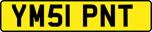 YM51PNT