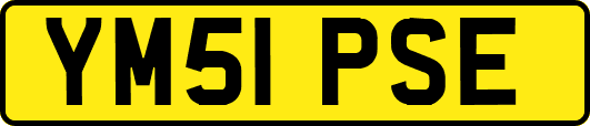 YM51PSE