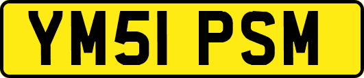 YM51PSM