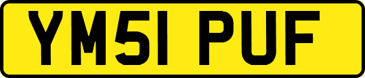 YM51PUF