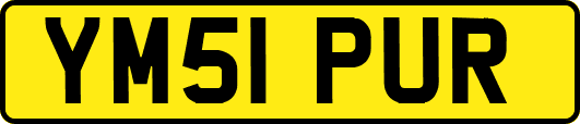 YM51PUR